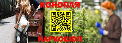 стафф Нальчик