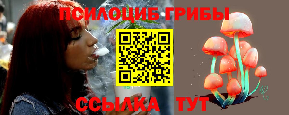 Псилоцибиновые грибы мицелий  Вход с VPN  Серов  Галлюциногенные грибы мухоморы 